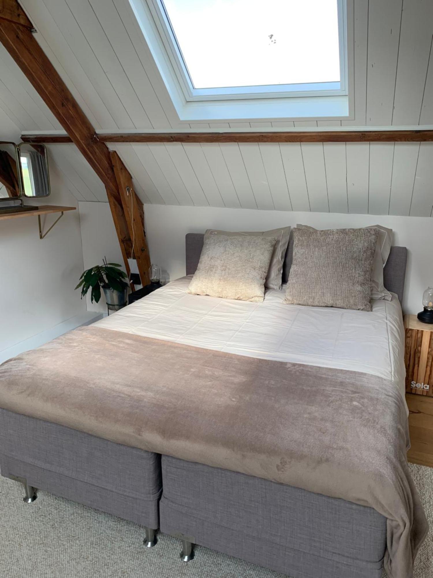 B&B De Vrijbuiter De Cocksdorp  Exteriör bild