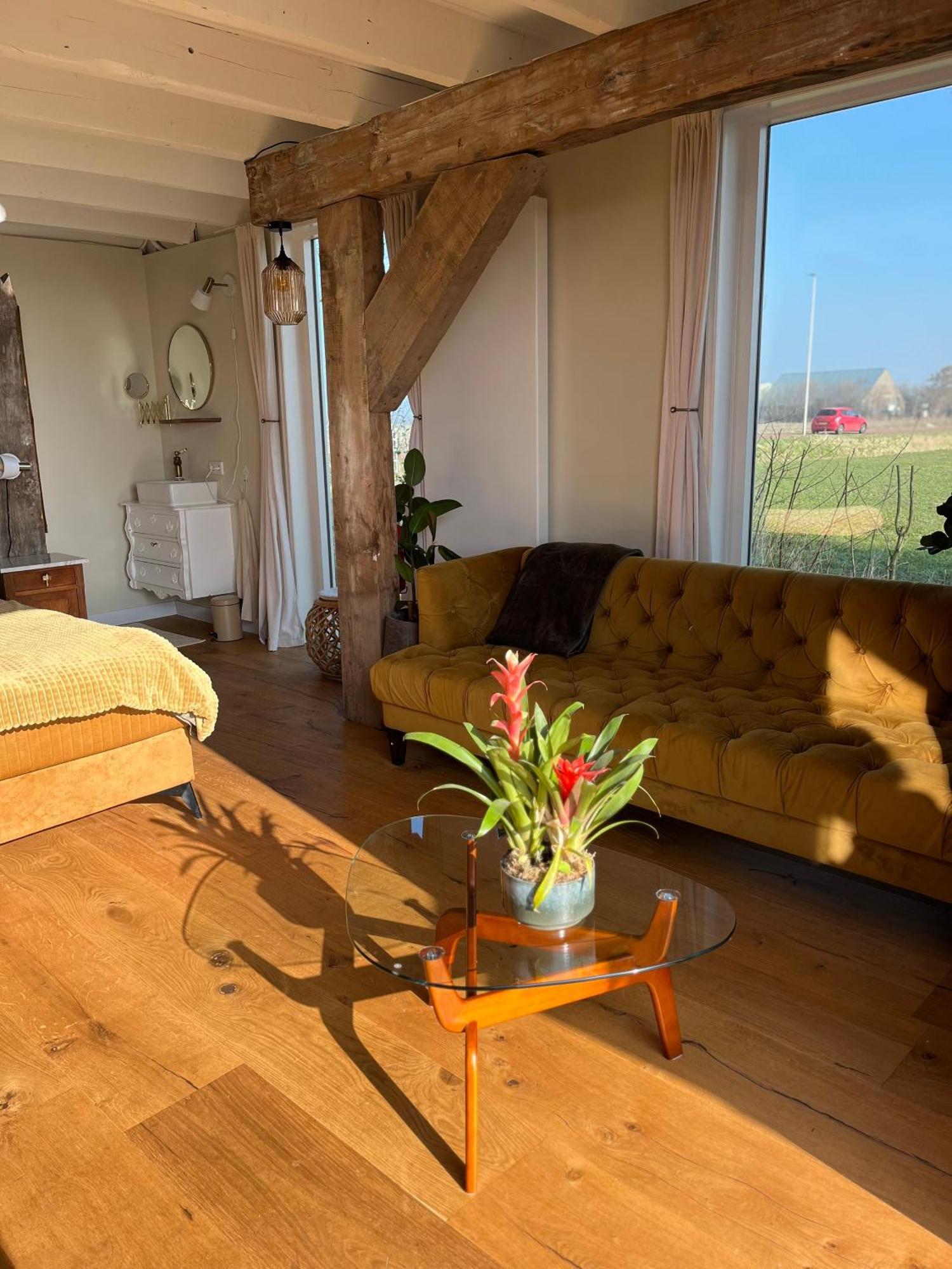 B&B De Vrijbuiter De Cocksdorp  Exteriör bild